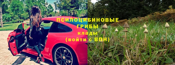 прущий лед Алексеевка