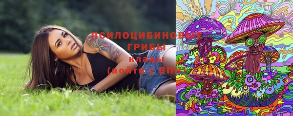 ALPHA PVP Алзамай