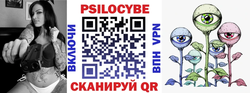 купить   Ликино-Дулёво  Галлюциногенные грибы Cubensis 